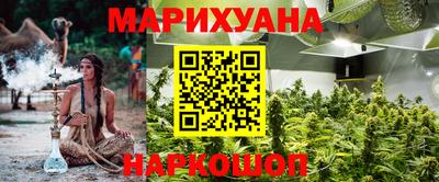 сатива Краснодар