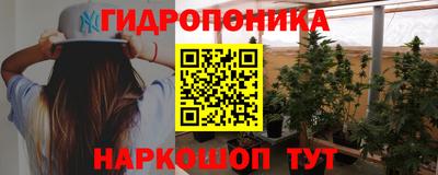 сатива Краснодар