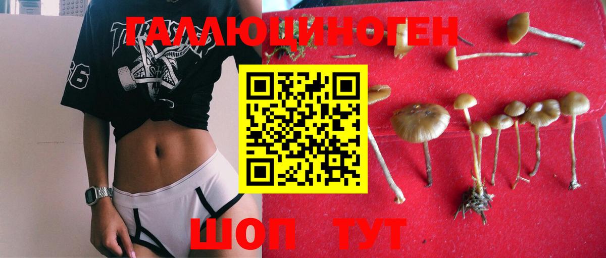 Галлюциногенные грибы Magic Shrooms Екатеринбург